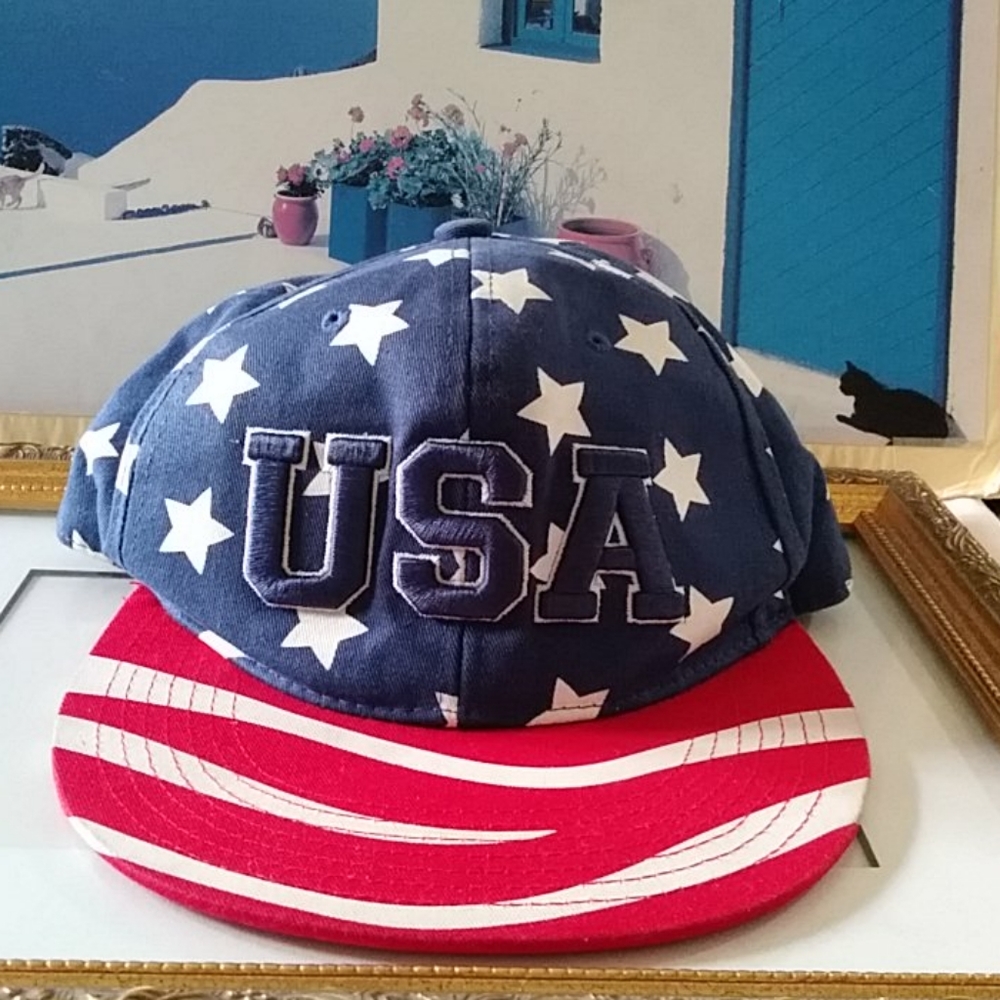 DC USA flag hat